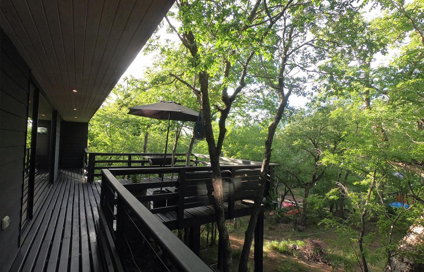 Chillan House Villa Las Trancas Dış mekan fotoğraf
