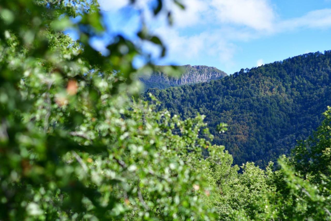 Chillan House Villa Las Trancas Dış mekan fotoğraf