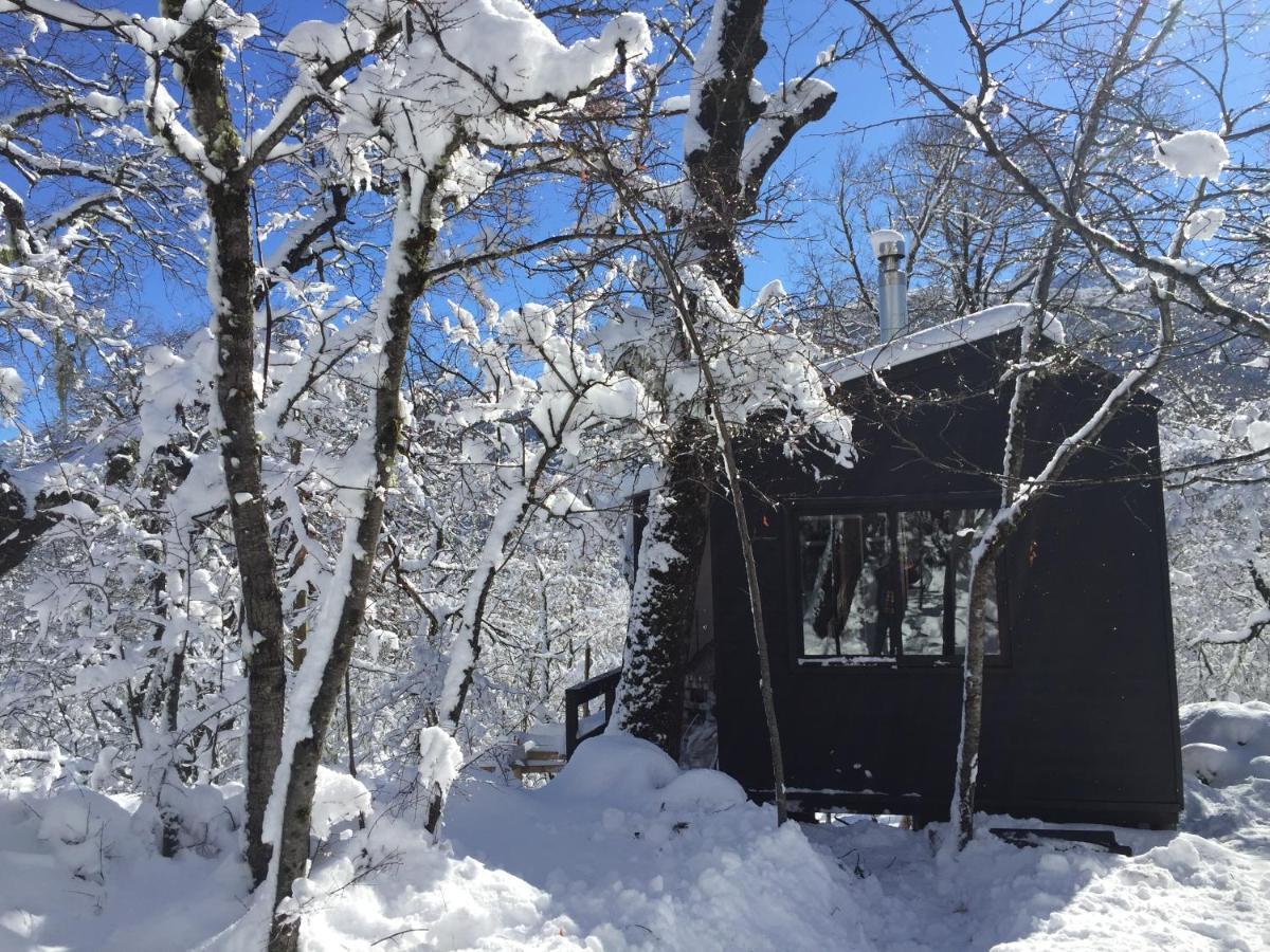 Chillan House Villa Las Trancas Dış mekan fotoğraf